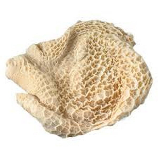 Bleached Tripe RAW K 9 100 Natural Raw Pet Food Australia