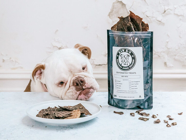 Choosing Human-Grade Pet Meals For Your Furry Friend