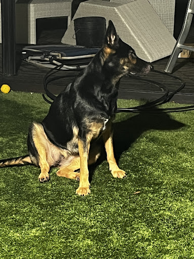 Photo from customer review