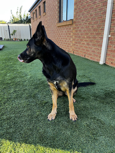 Photo from customer review