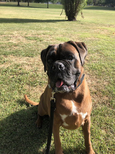 Photo from customer review