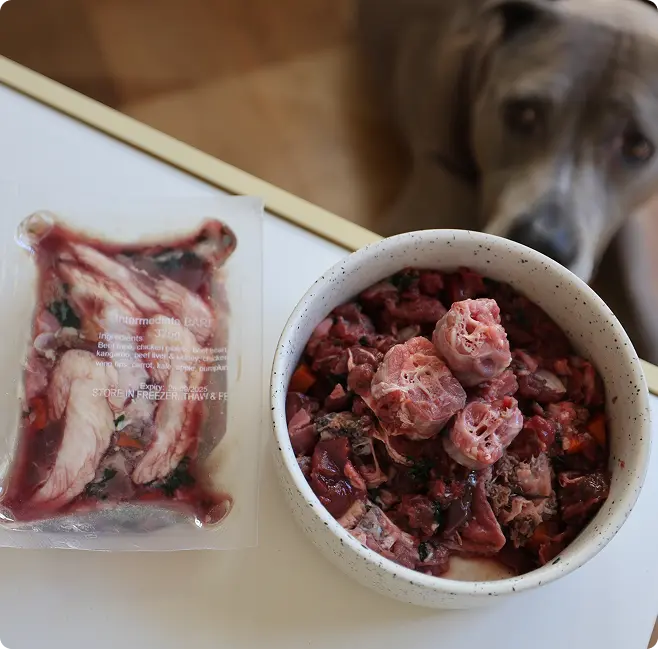 Why you should raw feed your dog, according to the evidence