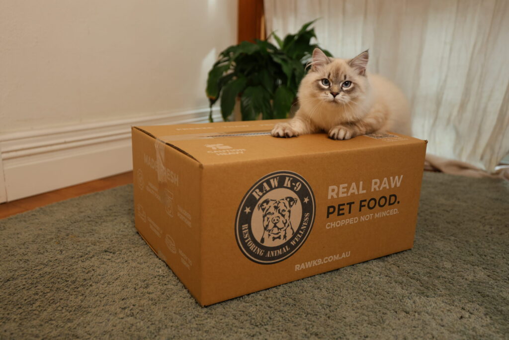 Why you don’t need to fear raw feeding 💚🐾